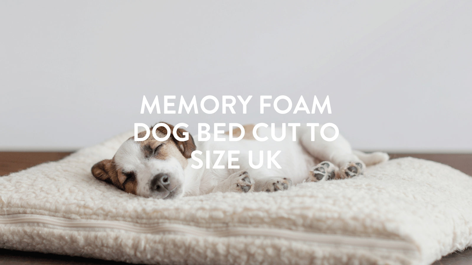 Memory Foam Dog Bed Cut To Size UK | Putnams