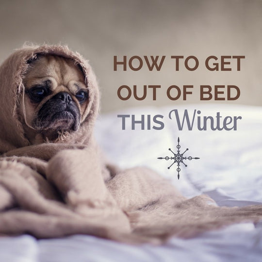 Wie man an einem kalten Wintermorgen aus dem Bett kommt 
