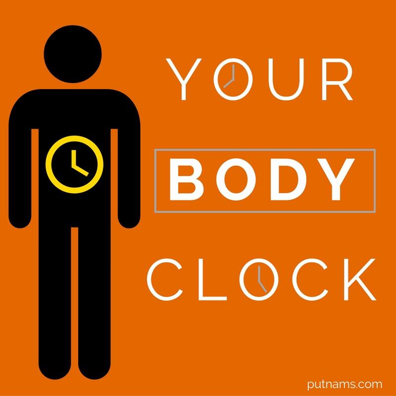 Your Body Clock : How To Set It Sleep Info | Putnams