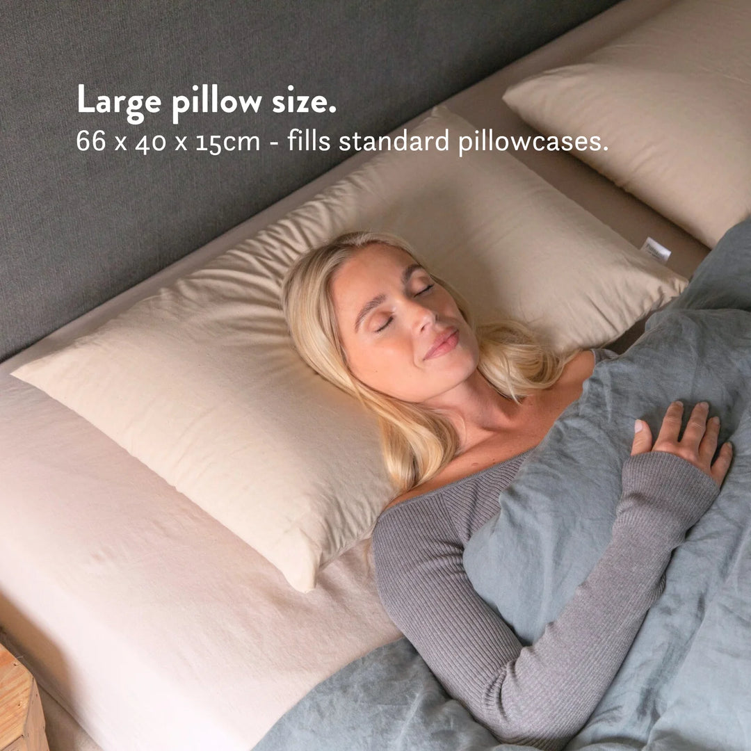 Graphite Latex Pillow - Natural foam pillow alternative soft bouncy supportive cooling 100% cotton undyed unbleached cover 