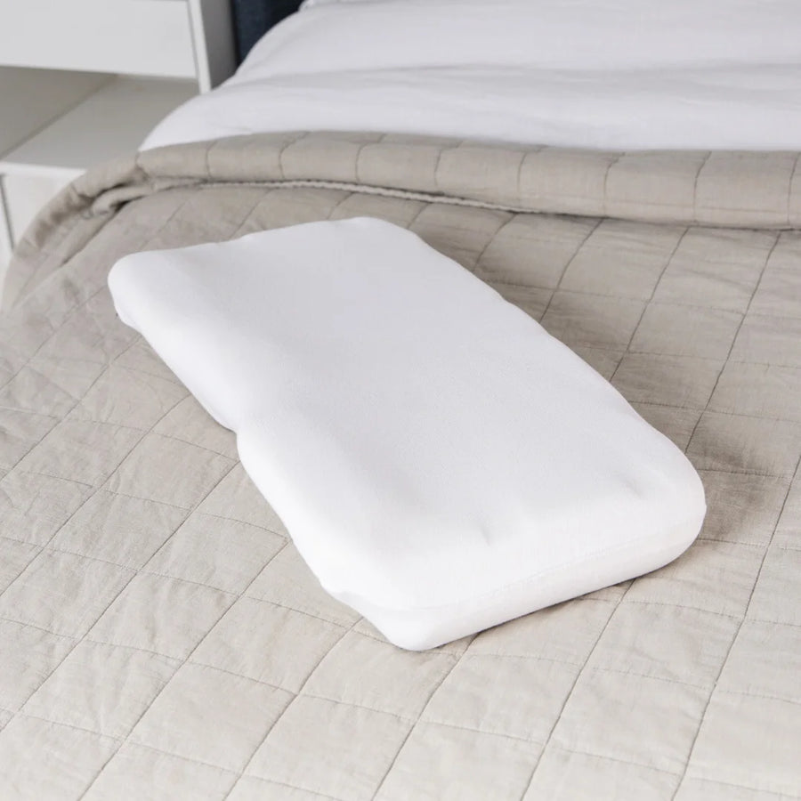 Putnam Pillow Waterproof Cover