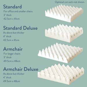 Tailbone Pain Cushion | Discreet Cover Included - Putnams UK