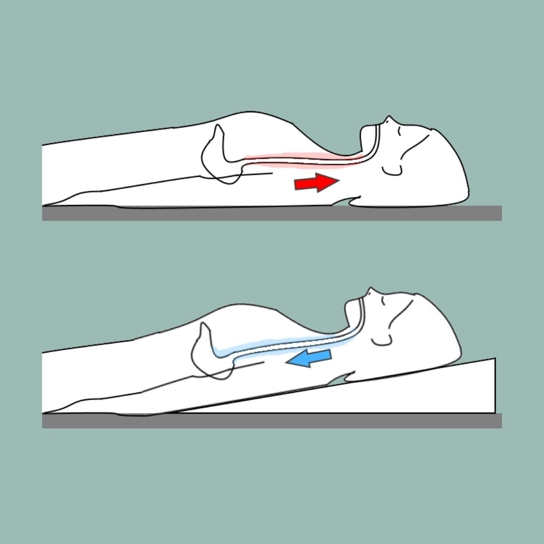 Bed Wedge Removable cover- Acid Reflux - Putnams UK made diagram angle sleep GERD GORD