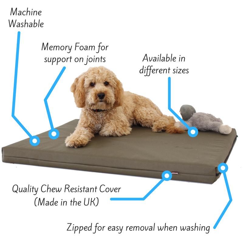 Memory Foam Dog Bed - Putnams