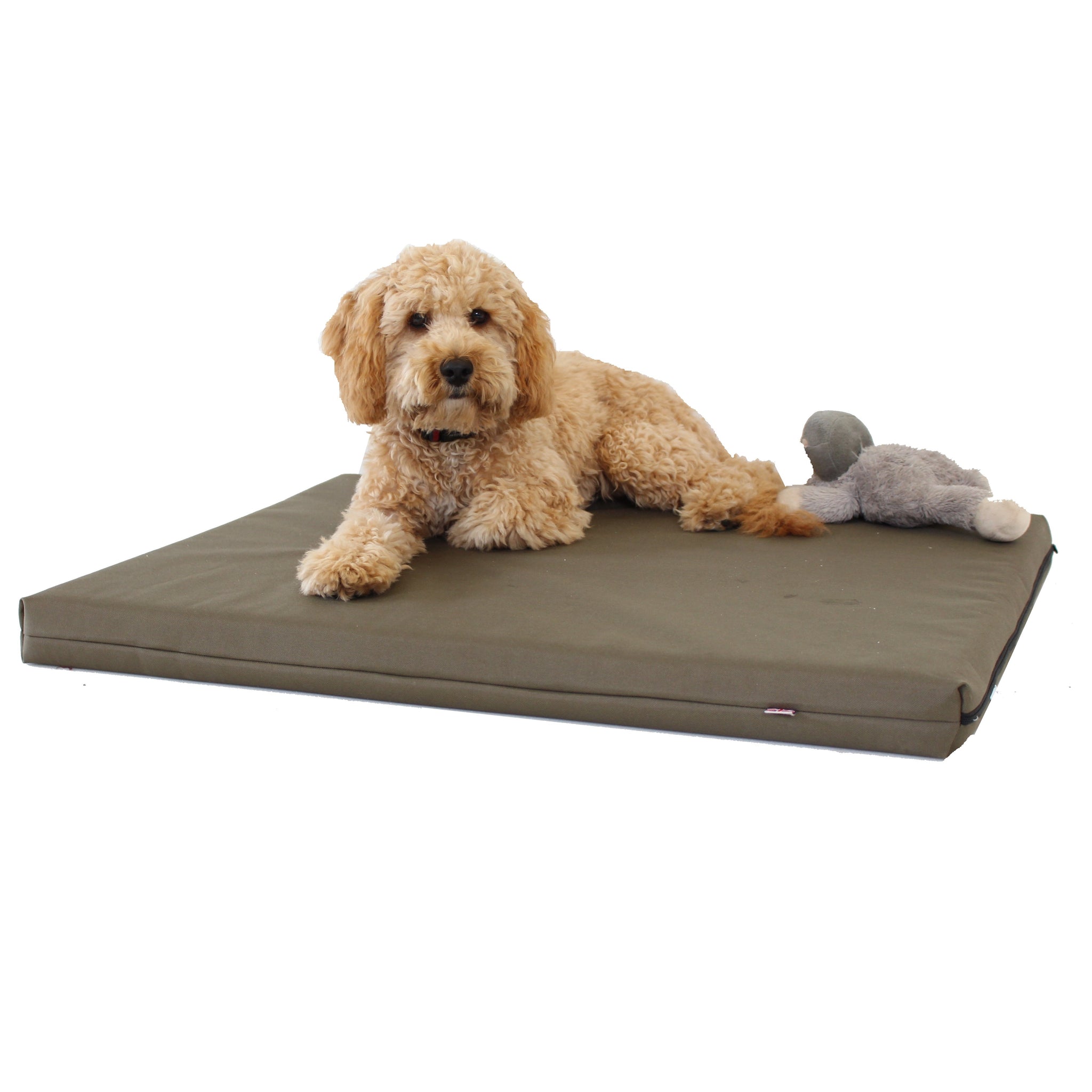 Memory Foam Dog Bed - Olive Green - UK Handmade